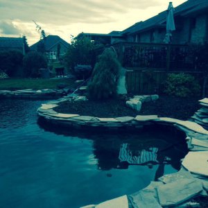 Landscaping coming along