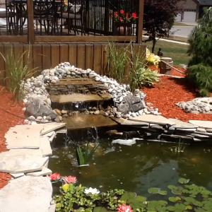 Plants waterfall all coming along nicely I think. Year 1