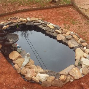 POND