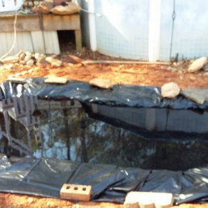 POND