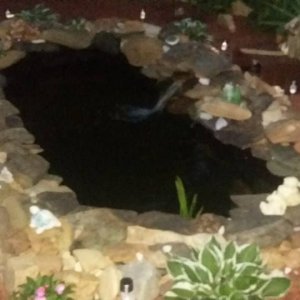 POND
