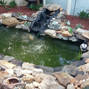 POND