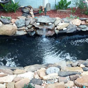 POND