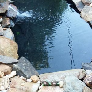 POND