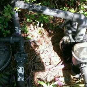 Filter and pump
