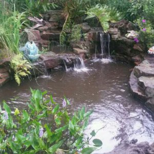 Pond