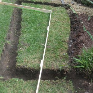 Dig