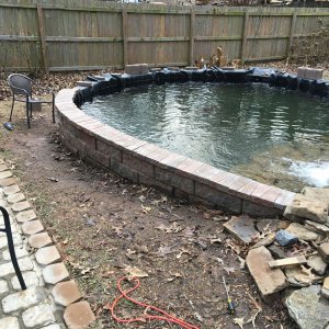 Sarah's Pond 1