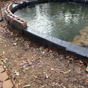 Sarah's Pond 2