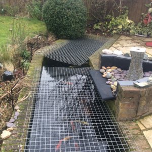 Heron Proof Pond