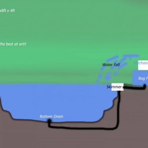 Pond 1