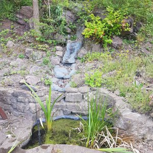 Pond