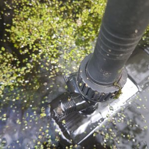 Pump 2