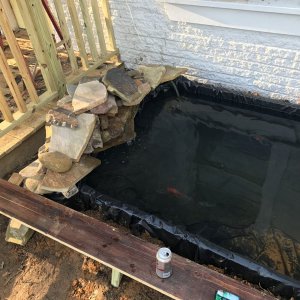 Pond