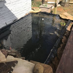 Pond