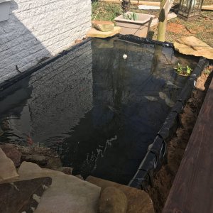 Pond