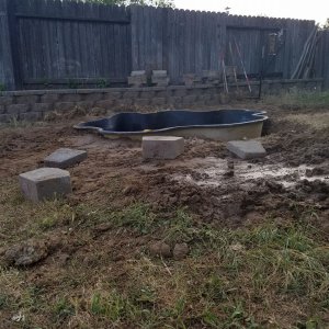 Pond nightmare