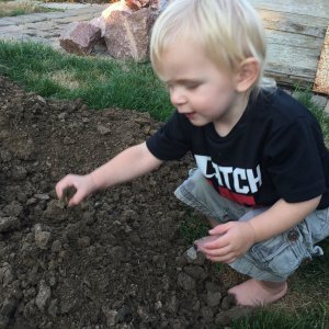 Dirt compaction