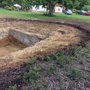 one end of the pond - the 'shallow' end.