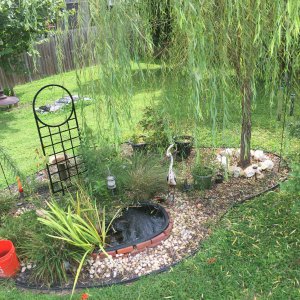 Current pond