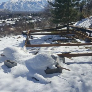 Pic of the pergola last year at this time
