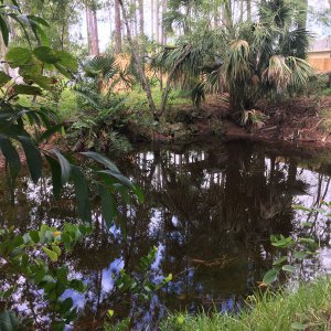 Big Pond