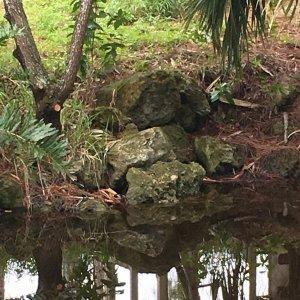 Big Pond
