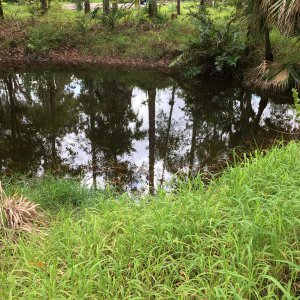 Big Pond