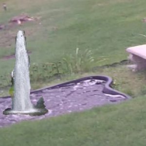 cascade