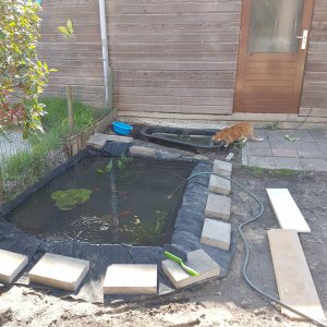 Pond 6