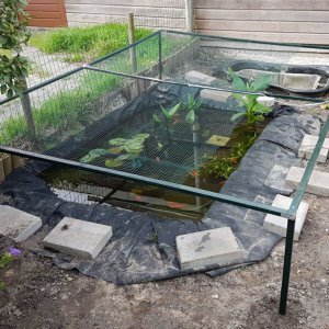 Pond 9