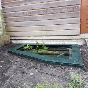 Old pond with wooden enclosure