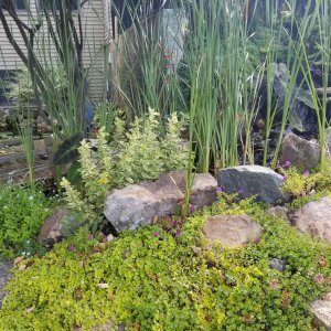 20190714_095027.jpg