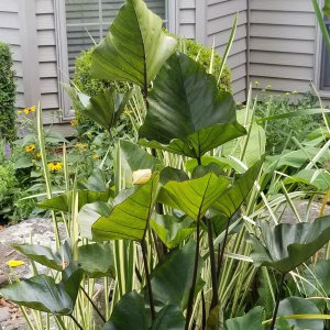 20190714_095106.jpg