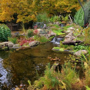 1 FALL pond clarity.jpg