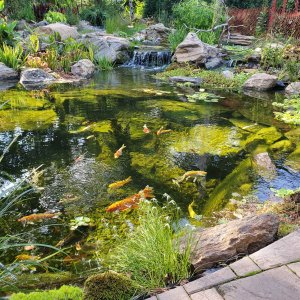 1 main falls (102 of 4).jpg
