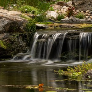 1 POND 2 (1 of 1).jpg