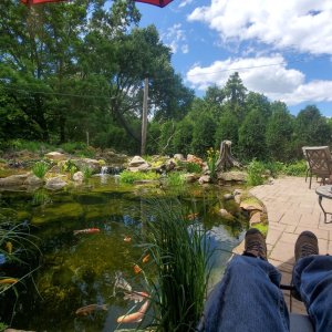 pond best  (1 of 1)-25 (1).jpg