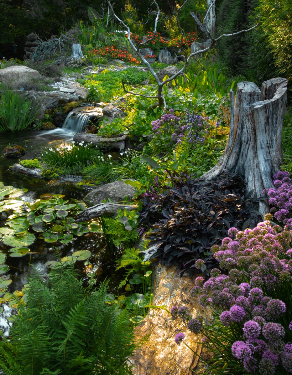 1` Pond 2023-2 (1).jpg