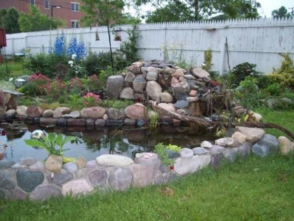 12 pondgarden5 10