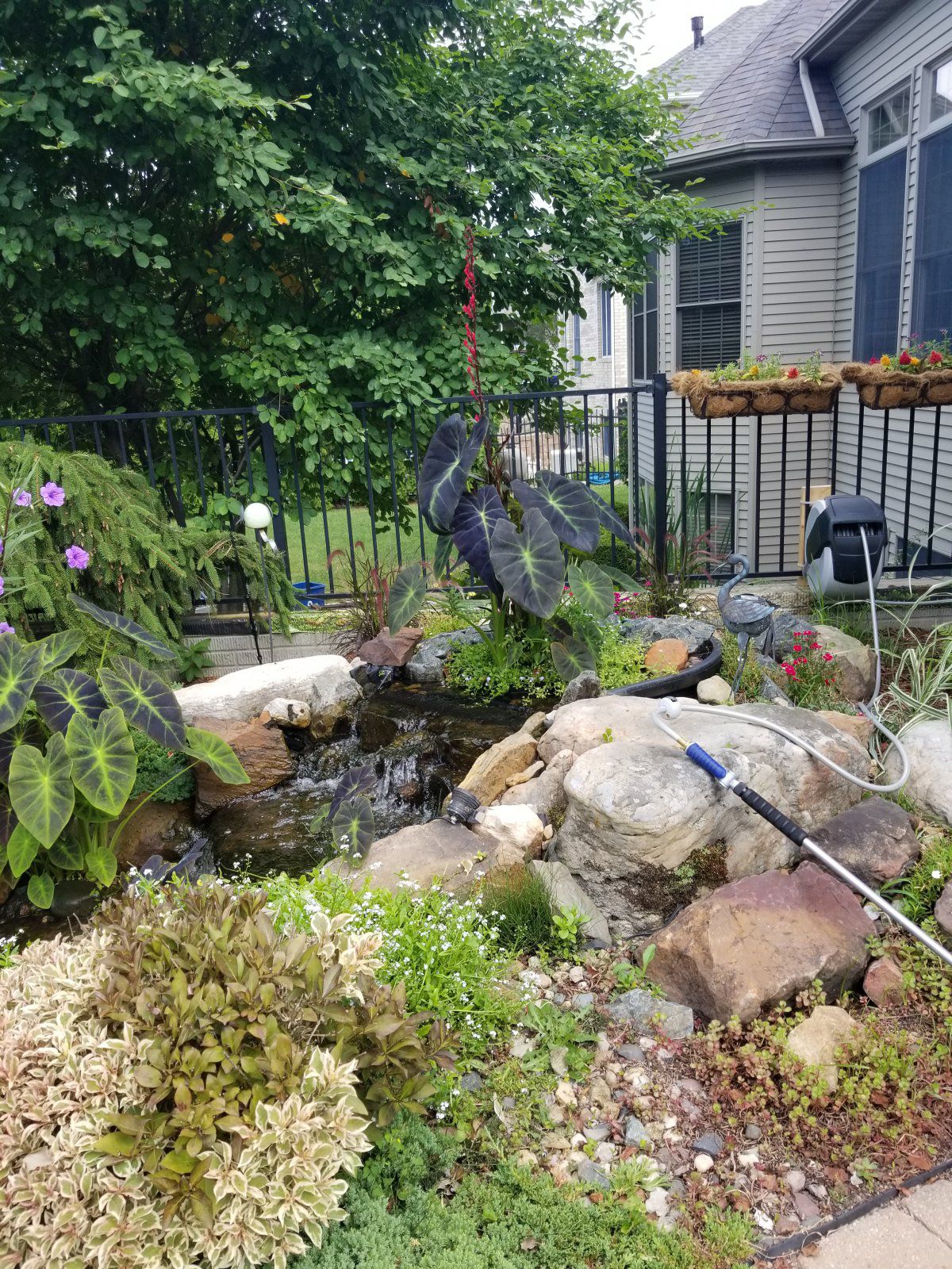 20190714_094432.jpg