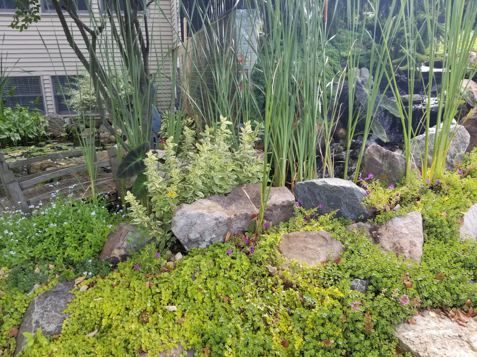 20190714_095027.jpg
