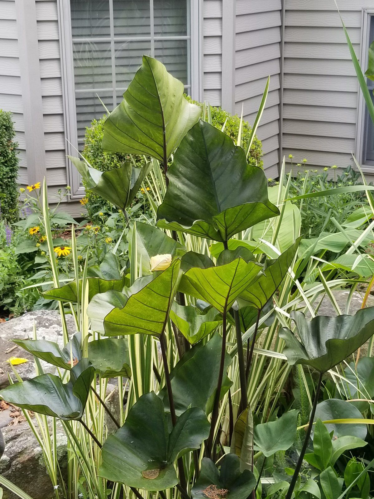 20190714_095106.jpg