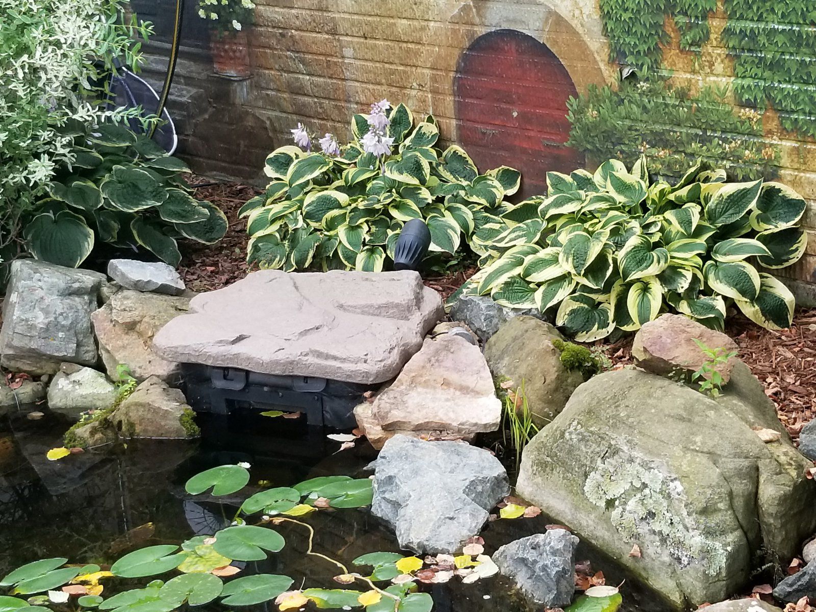 20190714_095218.jpg