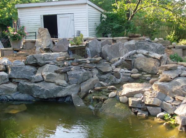 5000 Gallon pond after complete rebuild