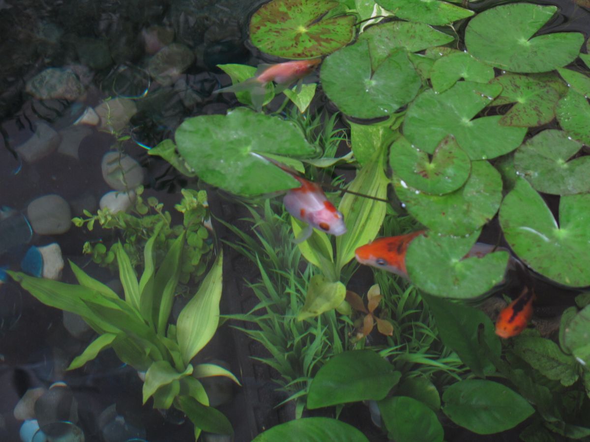 8.6.11