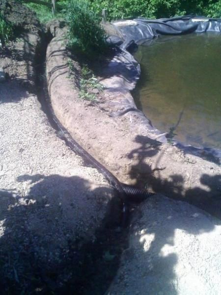 Added a skimmer/filter, pump, and 2 inch pvc hose to the upper/bog pond.