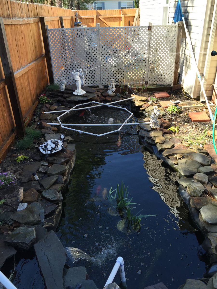 Another angle with plants and rock work done