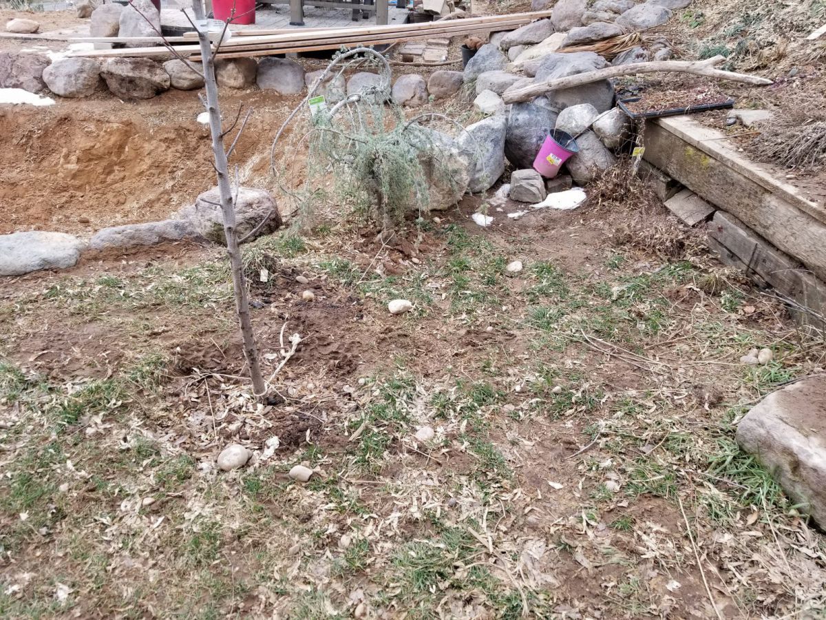 Area where I might place my bog