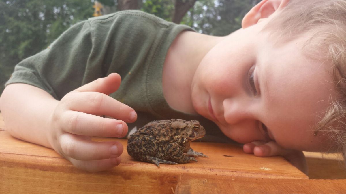 Ben Loves Cpt Toad